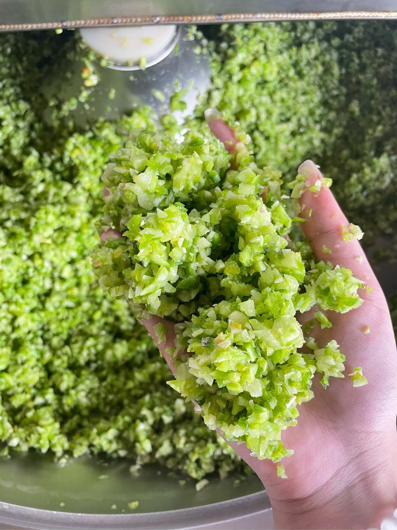 آلة تقطيع اللحوم والأسماك والن - مراجعة Vegetable Chopper وسعره