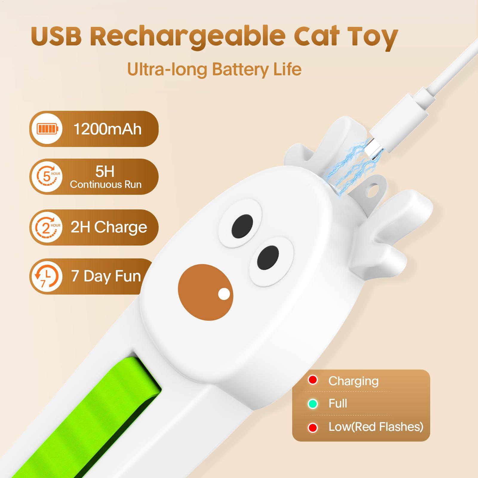 ألعاب القطط الإلكترونية المثبت - مراجعة Kitchen Gadgets Electronic وسعره